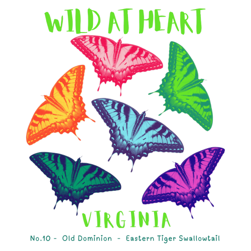 Virginia Nature Explorer Gift Set – Activity Books + Wild at Heart Tote