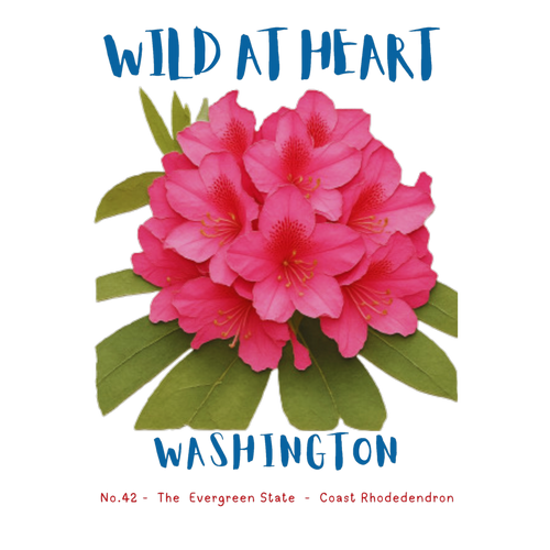 Washington Nature Explorer Gift Set – Activity Books + Wild at Heart Tote