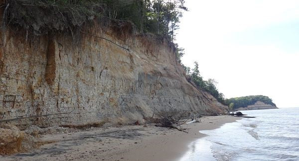 Seashelling in Maryland with Kids: A Beach Explorer Guide (+ Free Map)