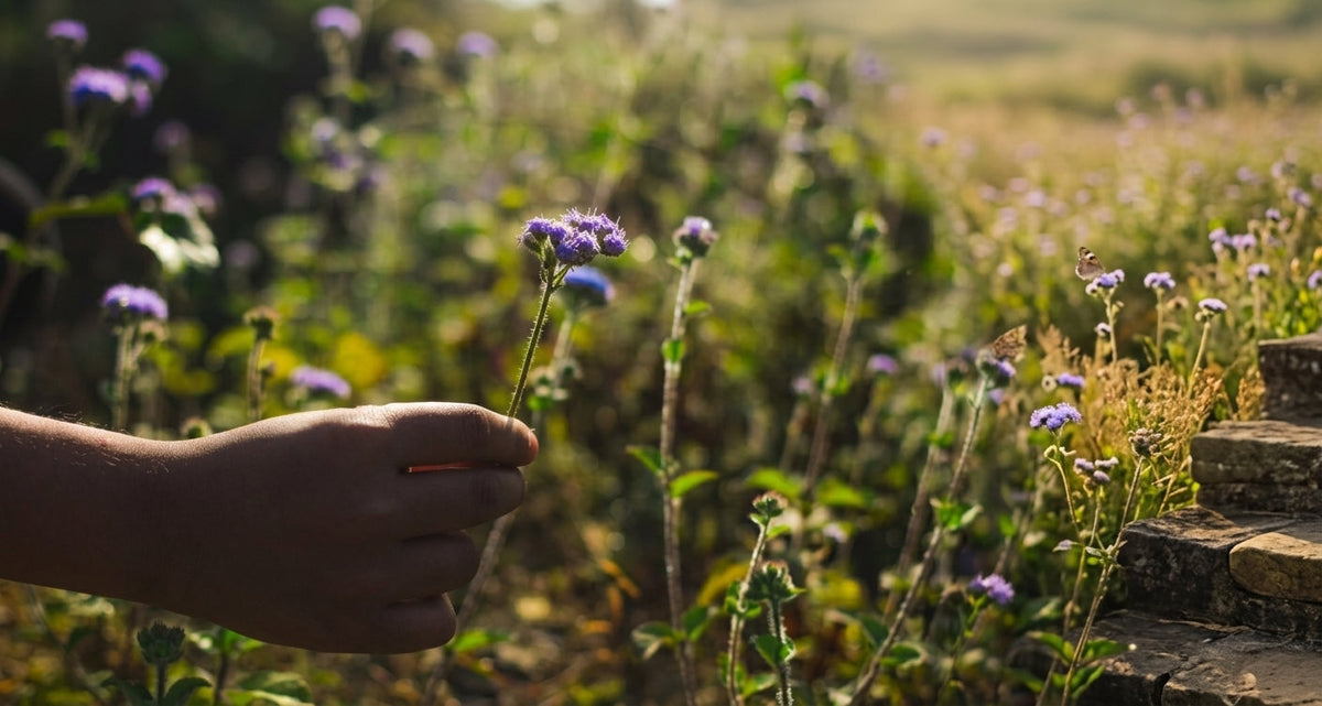The Best Nature Gift for Kids? The State They Call Home.