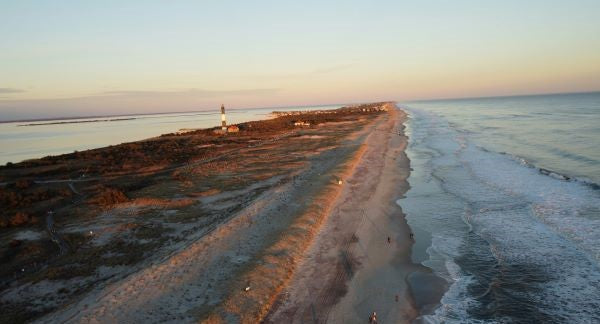Seashelling in New York with Kids: A Beach Explorer Guide (+ Free Map)