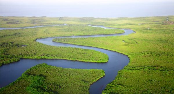 Birds of Florida with Kids: A Nature Explorer Guide (+ Free Map)
