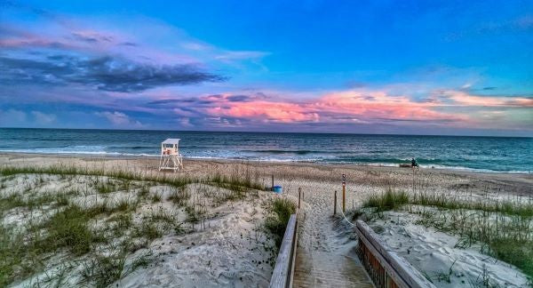 Seashelling in North Carolina with Kids: A Beach Explorer Guide (+ Free Map)