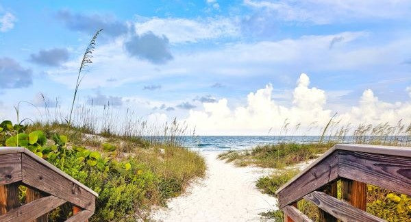 Seashelling in Florida with Kids: A Beach Explorer Guide (+ Free Map)