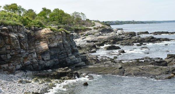 Seashelling in Maine with Kids: A Beach Explorer Guide (+ Free Map)