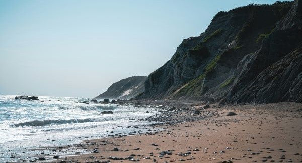 Seashelling in Rhode Island with Kids: A Beach Explorer Guide (+ Free Map)