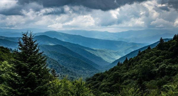 Great Smoky Mountains National Park with Kids: A Family Explorer Guide