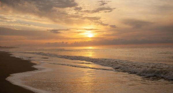 Seashelling in South Carolina with Kids: A Beach Explorer Guide (+ Free Map)