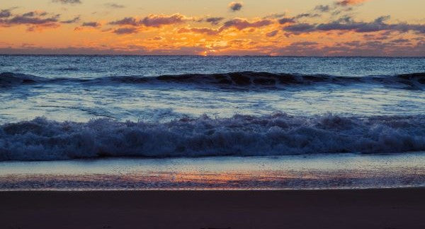 Seashelling in New Jersey with Kids: A Beach Explorer Guide (+ Free Map)