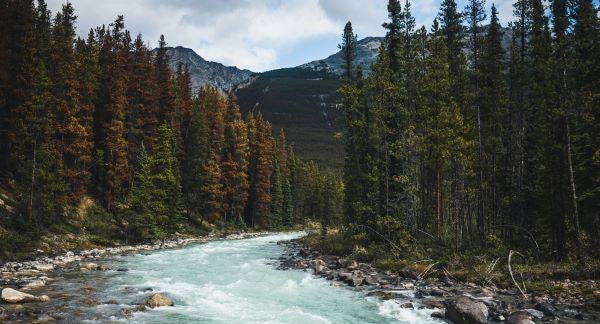 Jasper National Park with Kids: A Family Explorer Guide (+ Free Map)