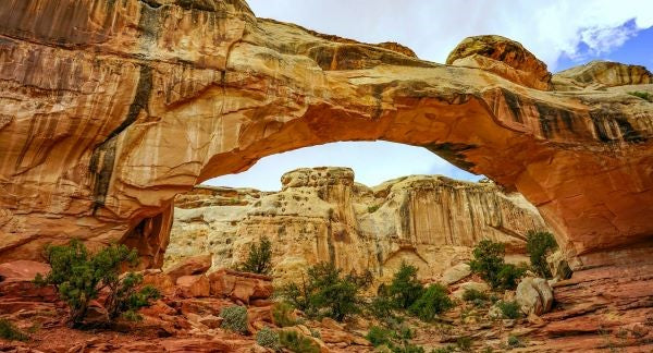 Capitol Reef National Park with Kids: A Family Explorer Guide