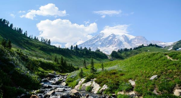 Mount Rainier National Park with Kids: A Family Explorer Guide