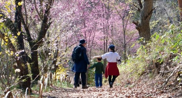 10 Ways to Get Kids Off Screens and Into Nature