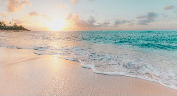 Seashelling in Hawaii with Kids: A Beach Explorer Guide (+ Free Map)