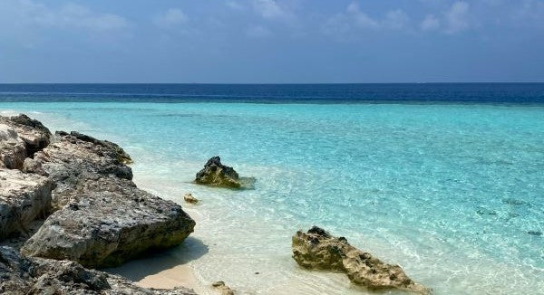 Shelling in St. John with Kids: A Nature Explorer Guide (+ Free Map)
