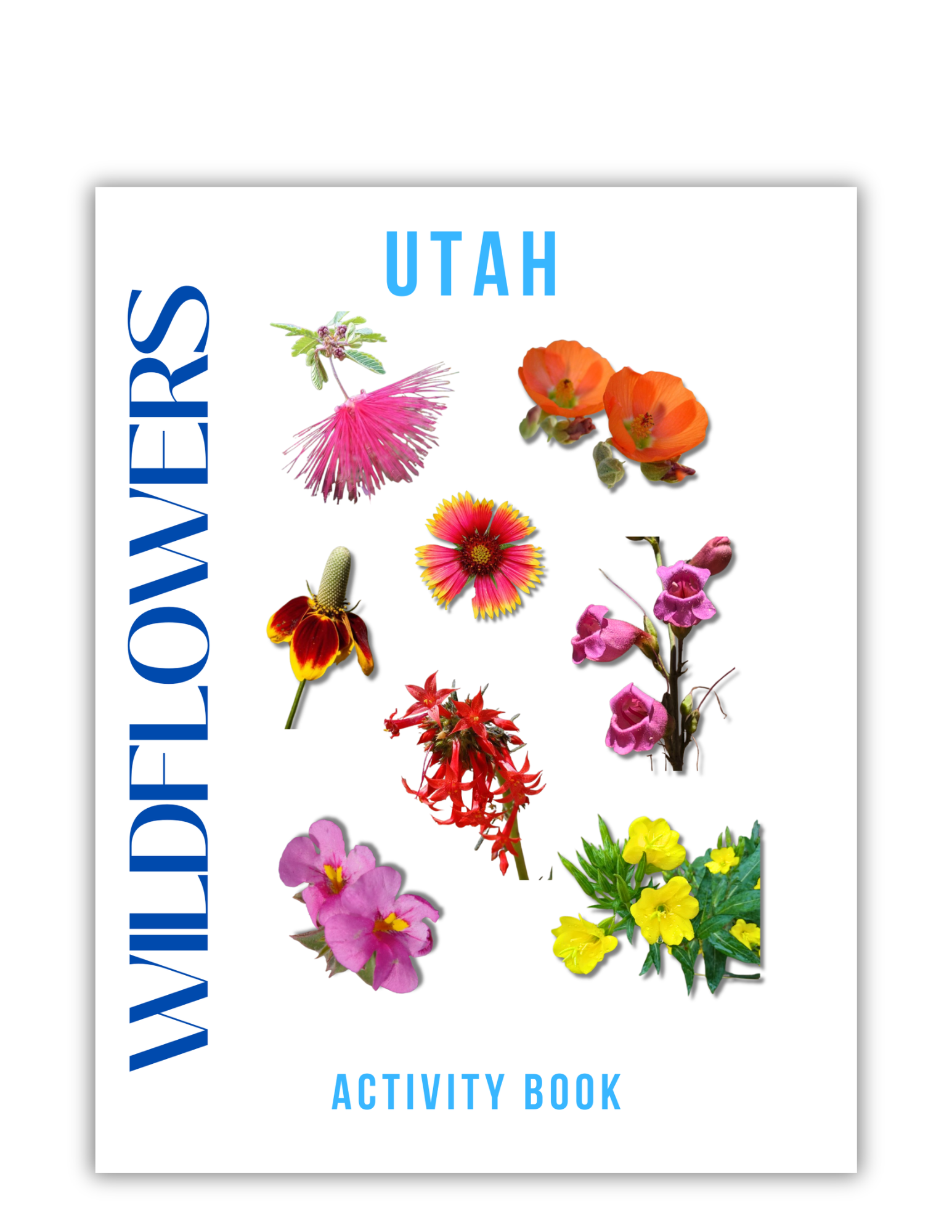 Wildflowers