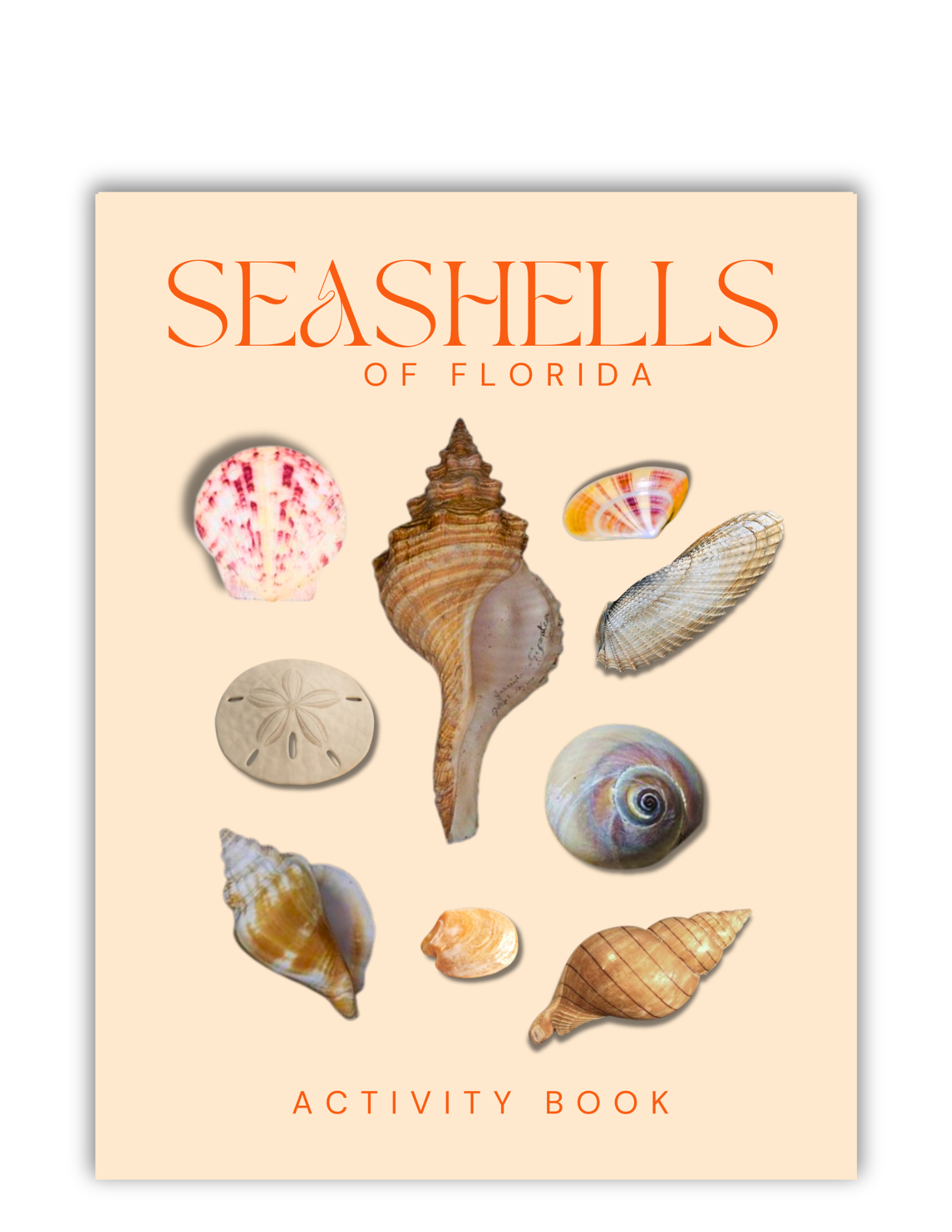 Seashells