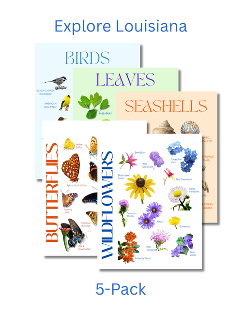 Louisiana Complete Nature Explorer Pack