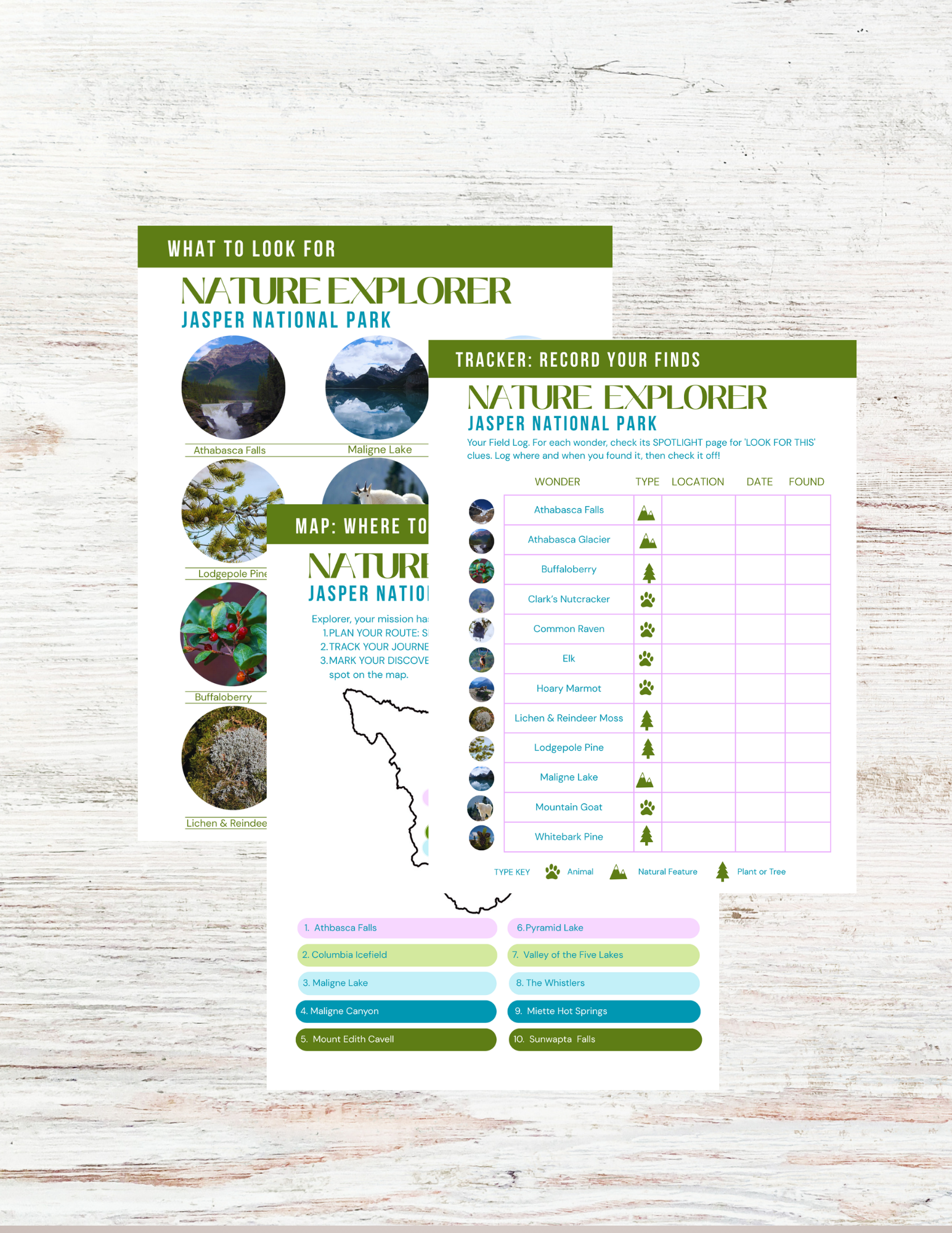 Jasper National Park Activity Book for Kids
