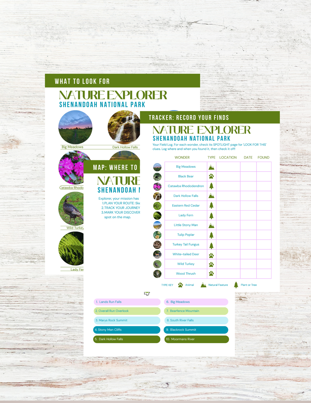 Shenandoah National Park Activity Book for Kids