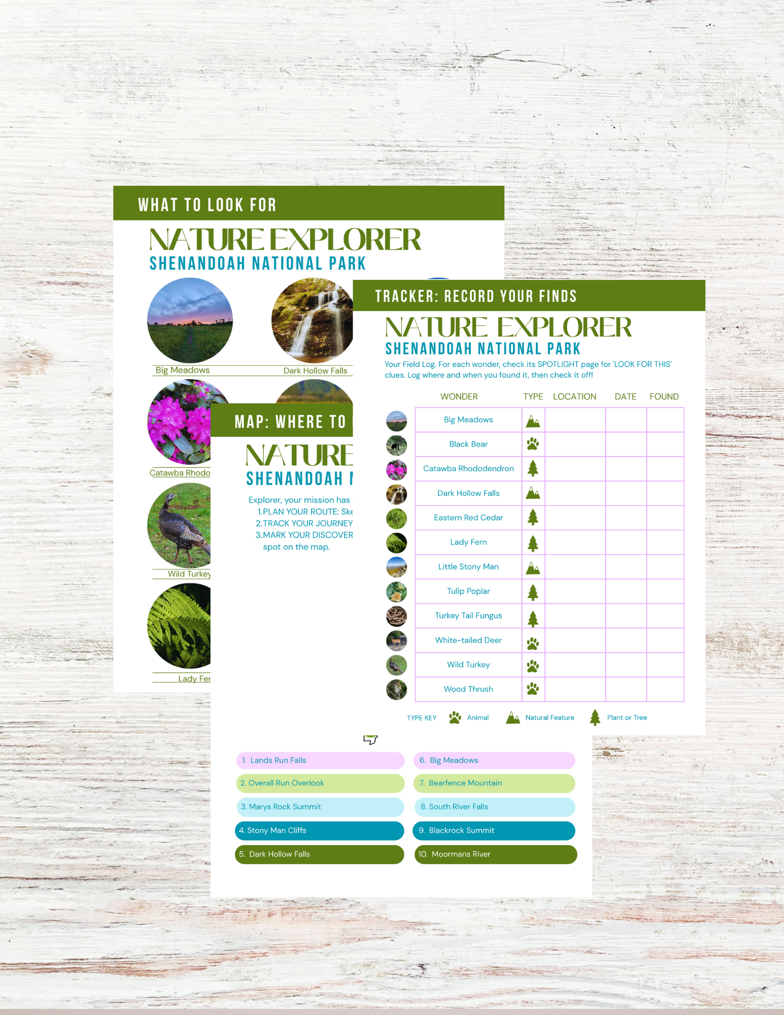 Shenandoah National Park Activity Book for Kids