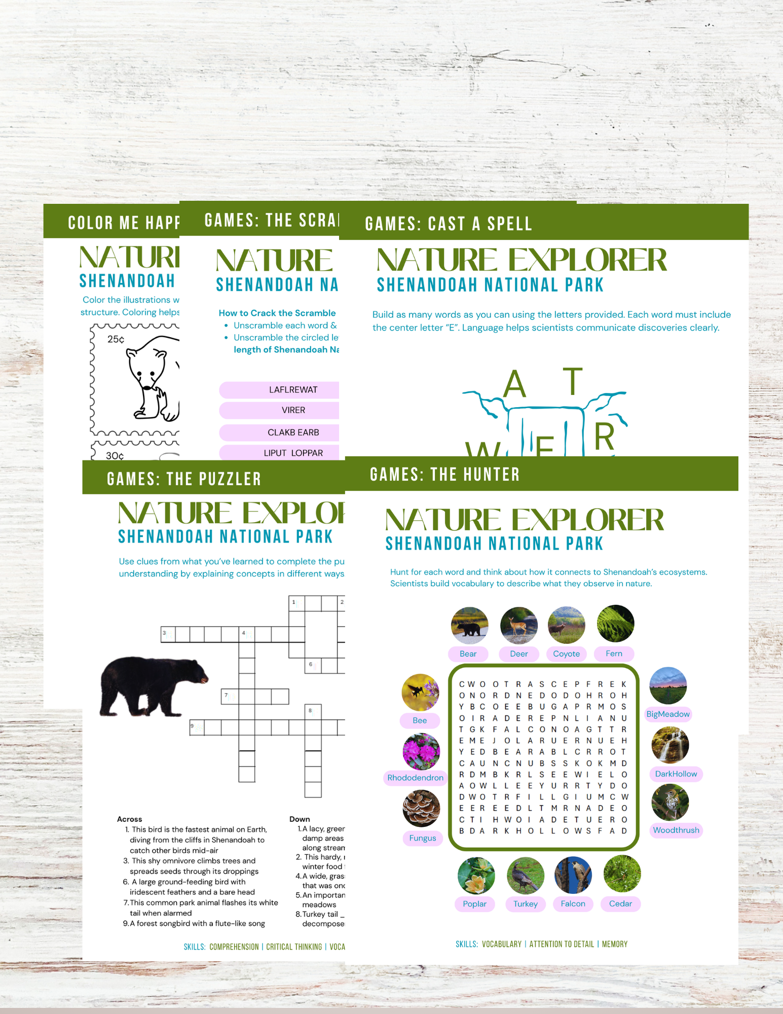 Shenandoah National Park Activity Book for Kids