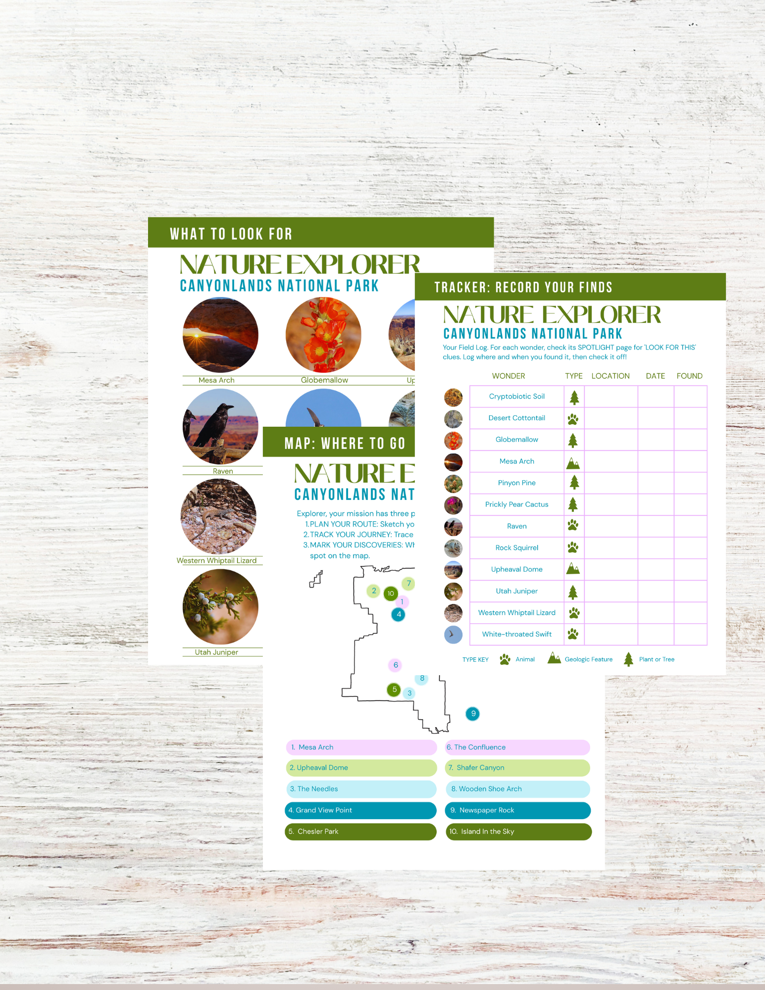 Canyonlands National Park Activity Book for Kids