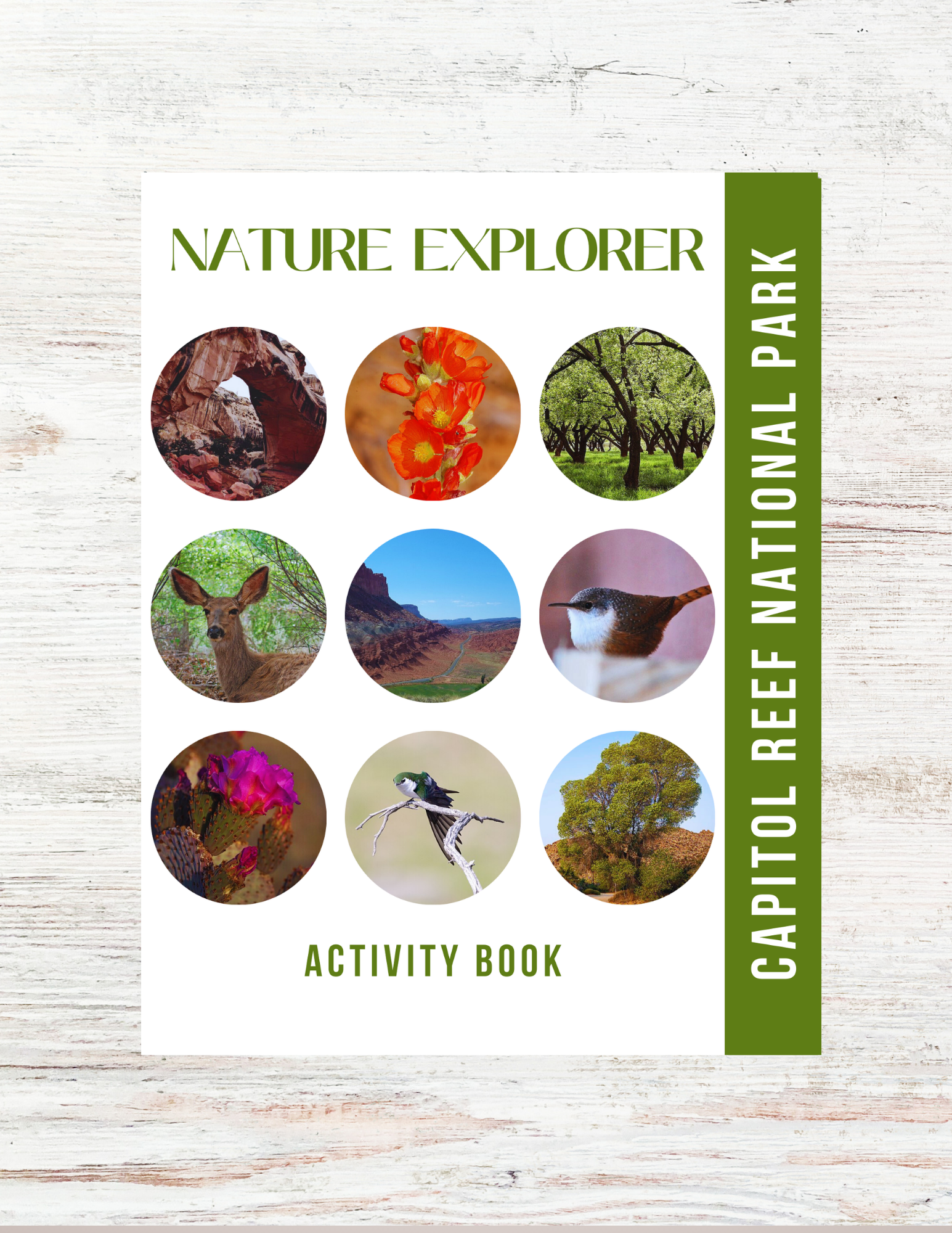 Capitol Reef National Park Activity Book