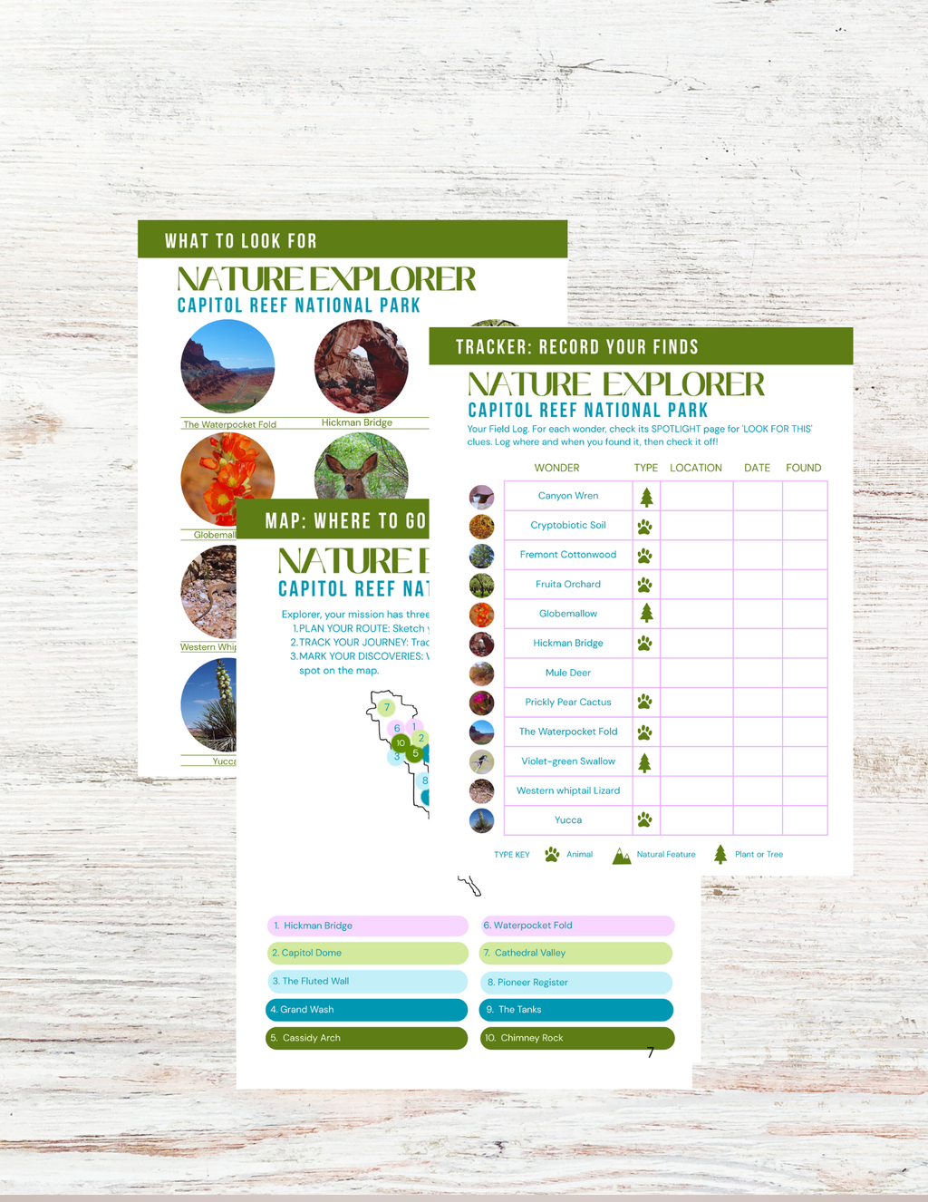 Capitol Reef National Park Activity Book