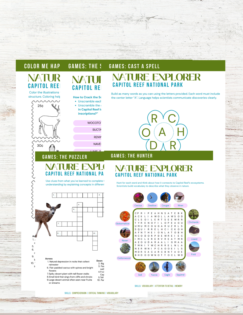 Capitol Reef National Park Activity Book