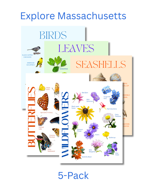 Massachusetts Complete Nature Explorer Pack
