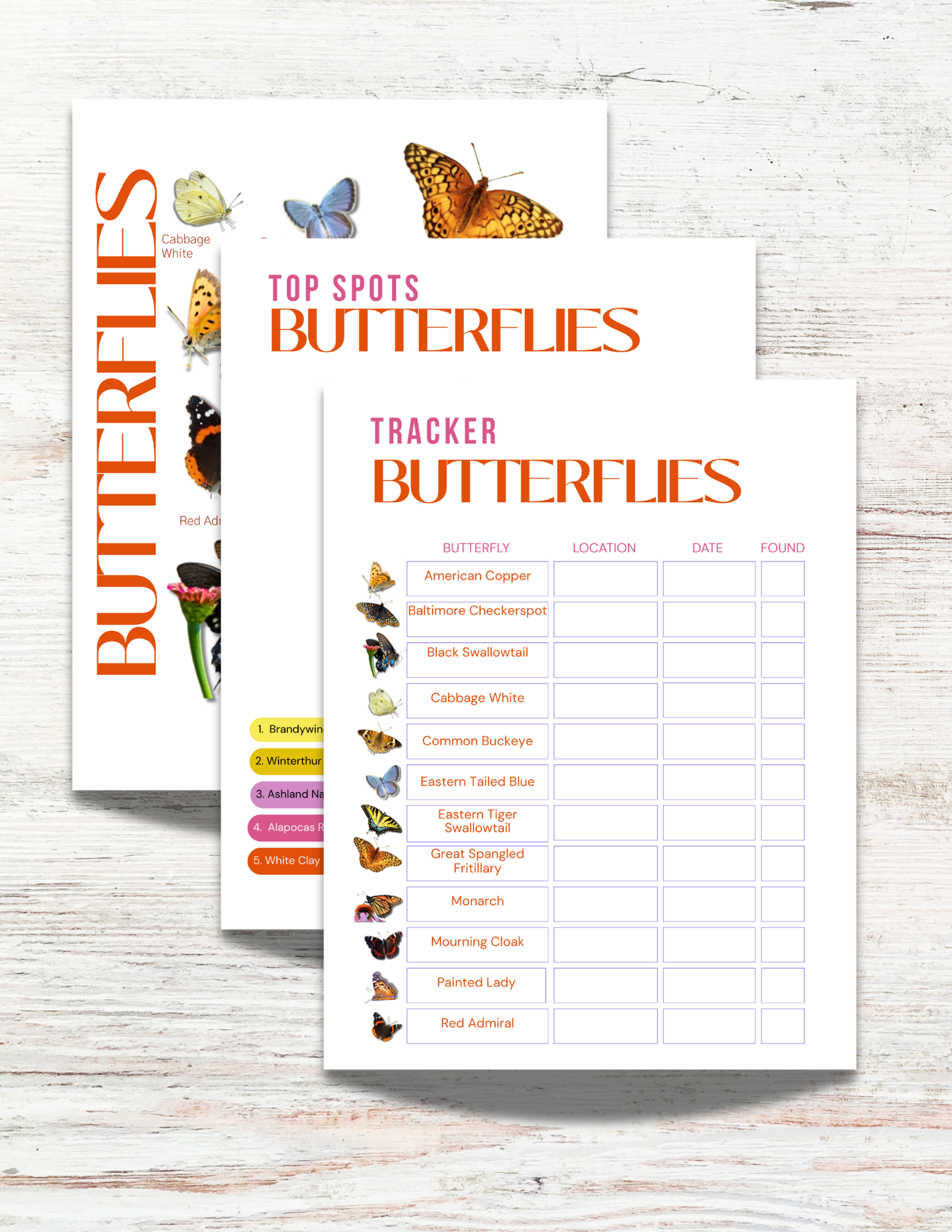 Butterflies of Wyoming Activity Book for Kids