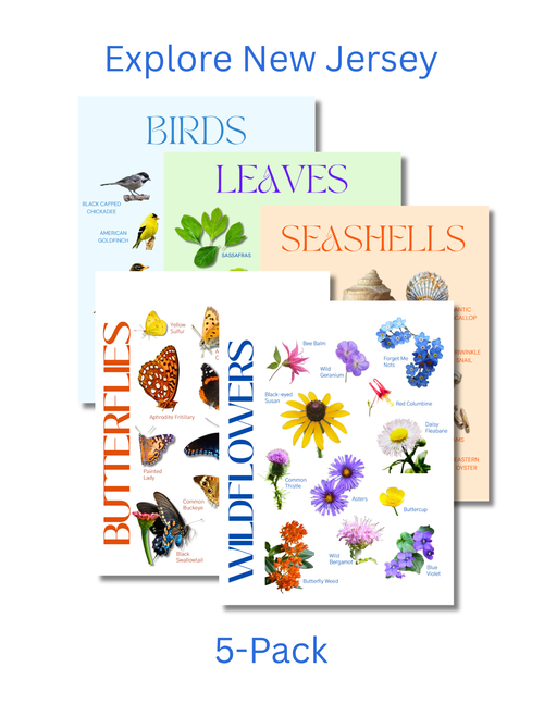 New Jersey Complete Nature Explorer Pack