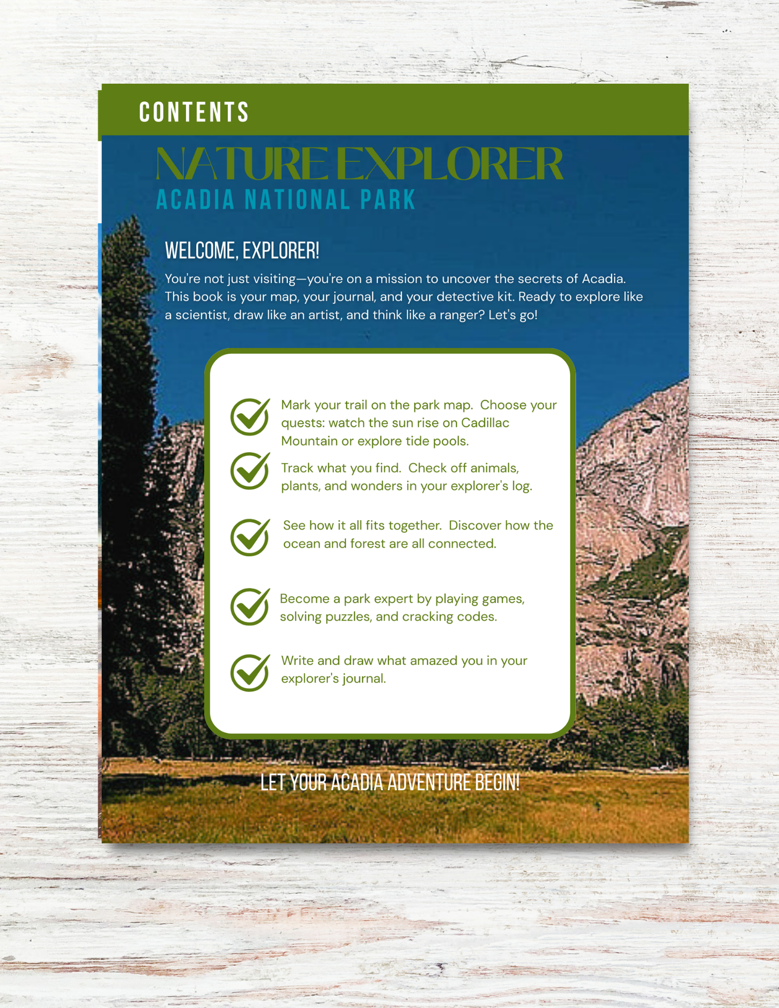 Acadia National Park Activity Book for Kids