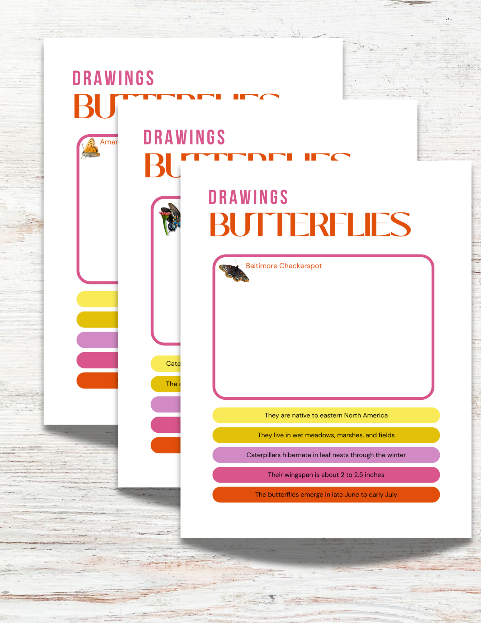 Butterflies of Wyoming Activity Book for Kids