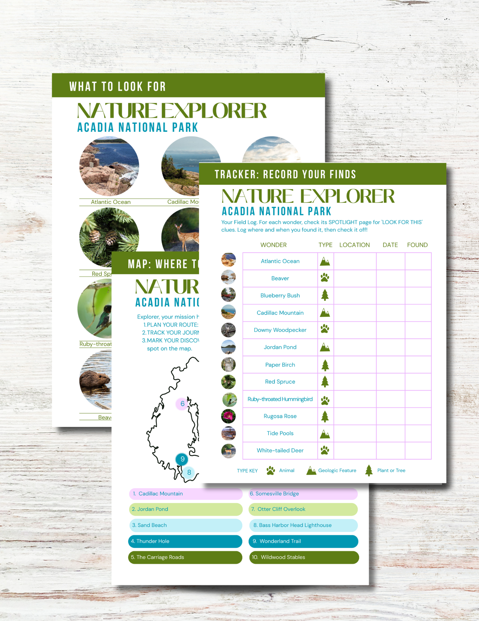 Acadia National Park Activity Book for Kids