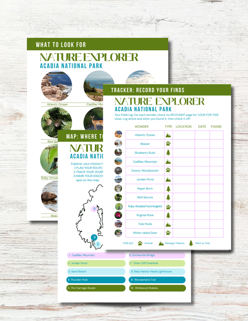 Acadia National Park Activity Book