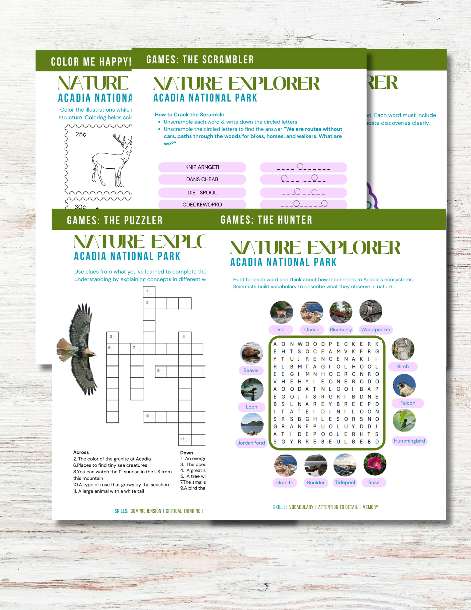Acadia National Park Activity Book for Kids