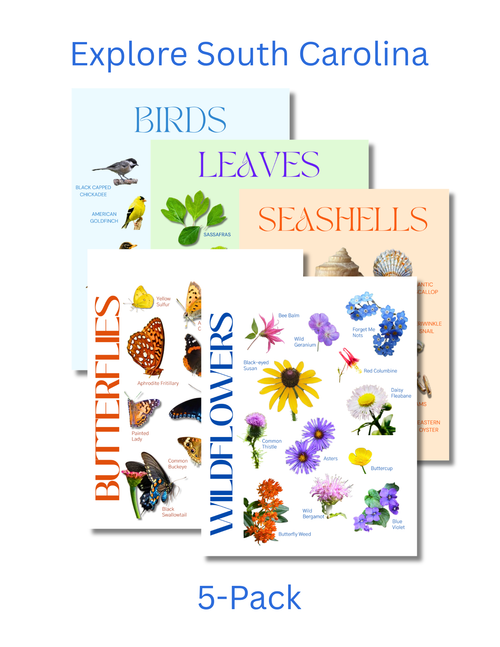 South Carolina Complete Nature Explorer Pack