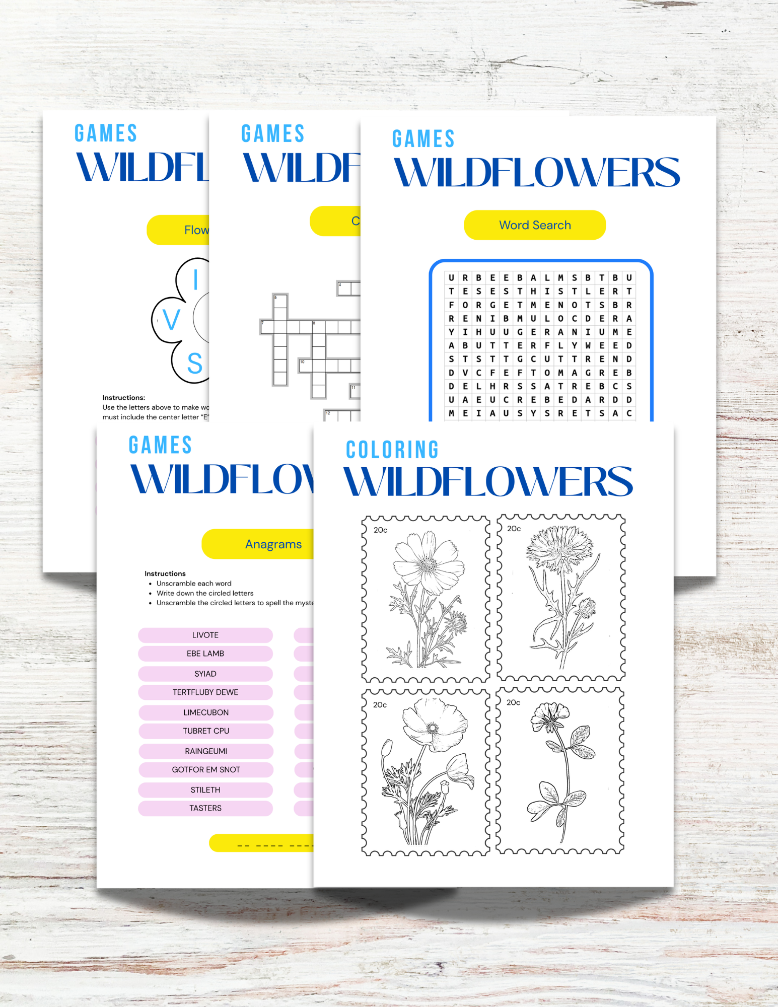 Wildflowers of Alabama Activity Book for Kids