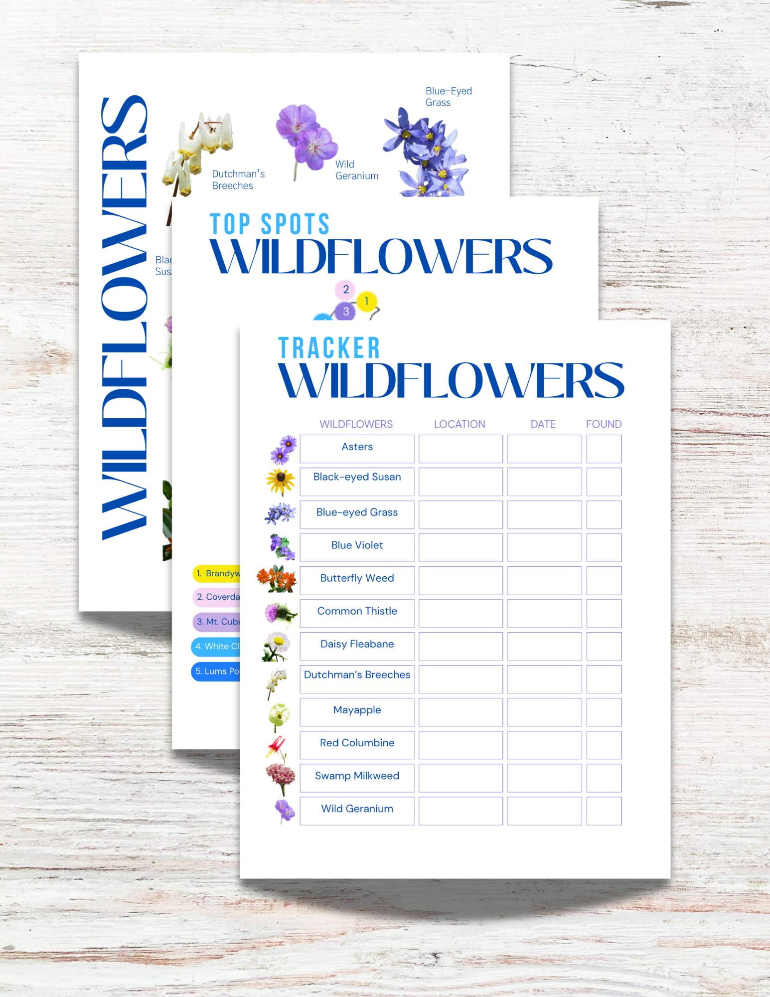 Wildflowers of Alabama Activity Book for Kids