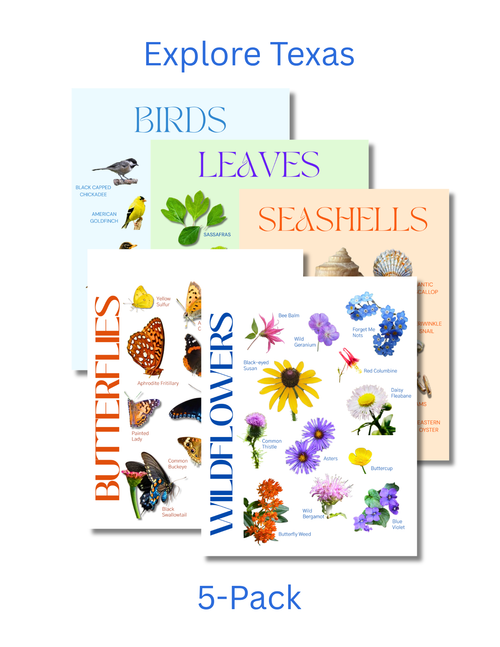 Texas Complete Nature Explorer Pack