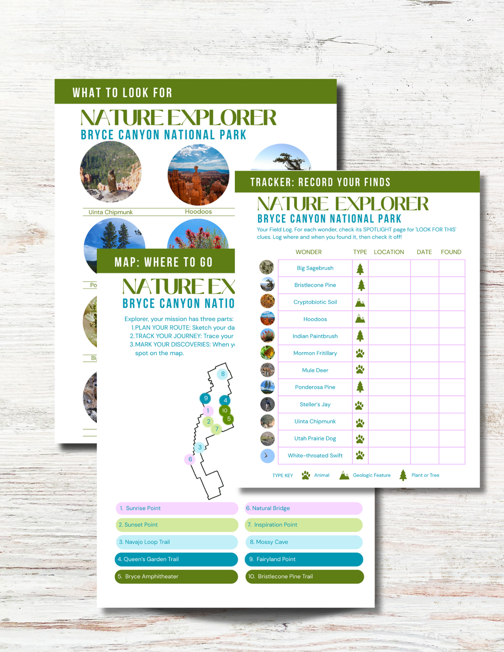 Bryce Canyon National Park Activity Book for Kids