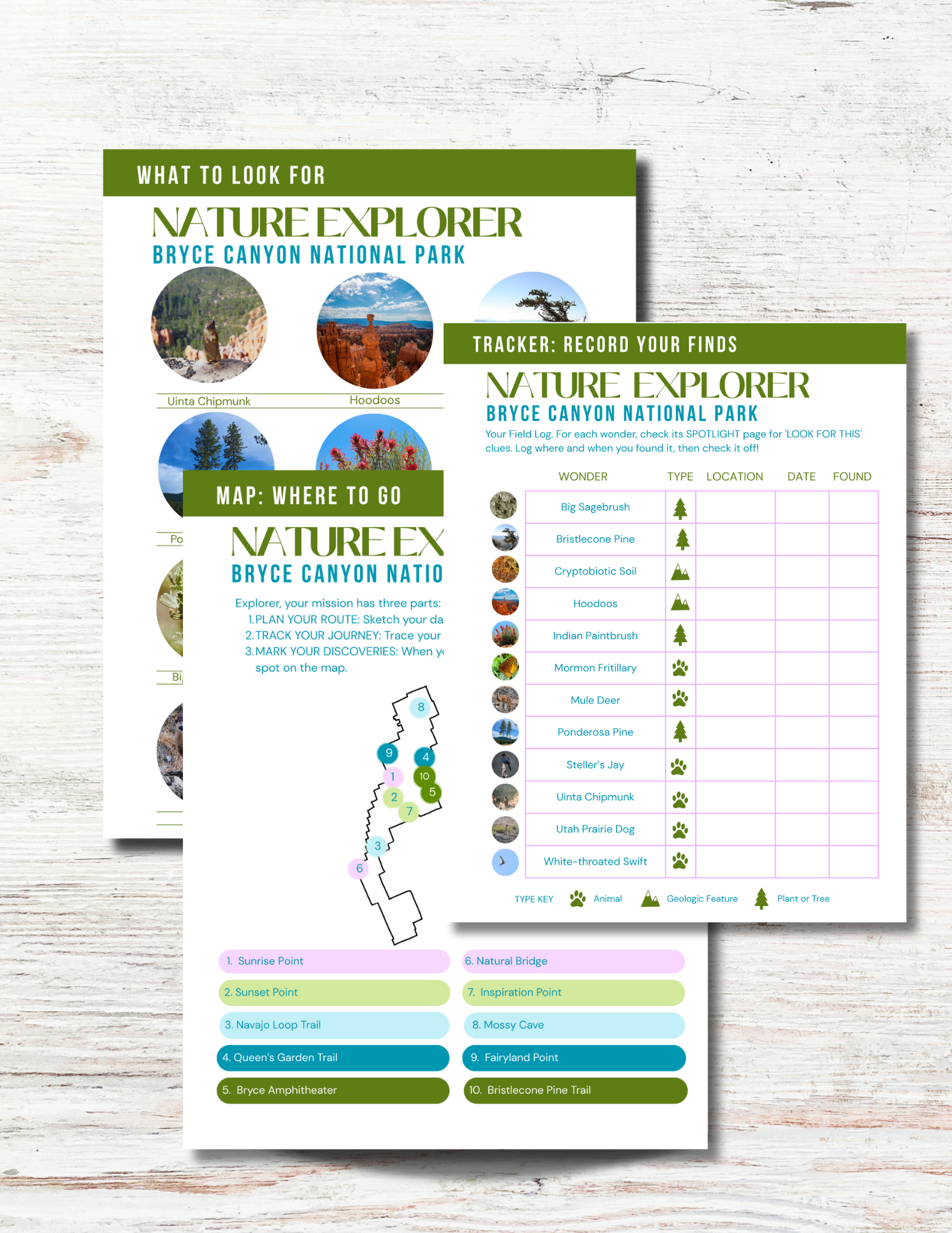 Bryce Canyon National Park Activity Book for Kids