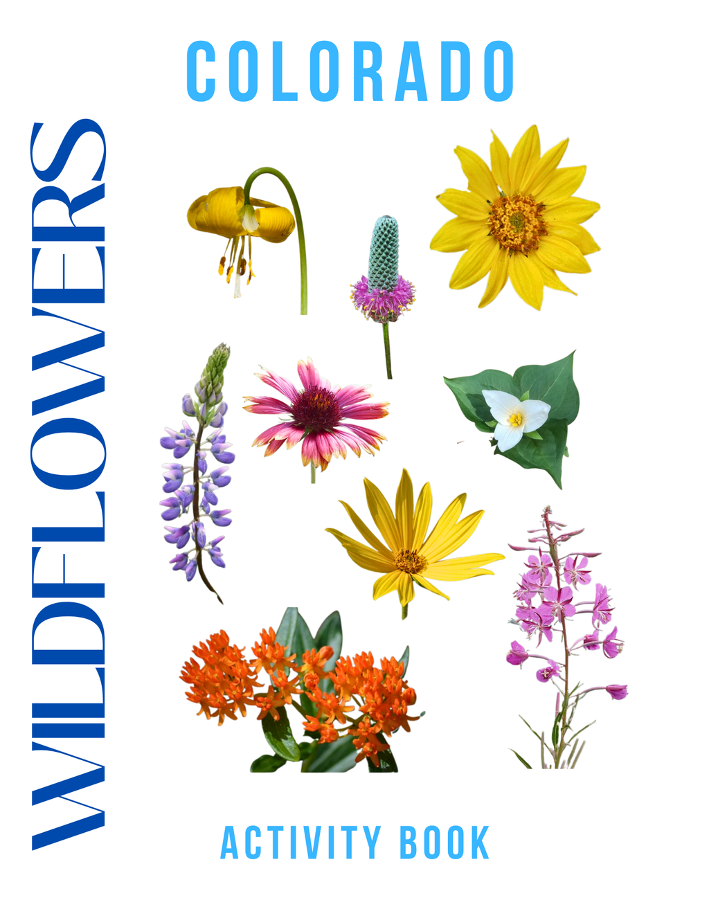 Colorado Nature Gift Set for Kids Ages 7-12 – 4 Activity Books + Canvas Tote (Birds, Butterflies, Wildflowers & Leaves)