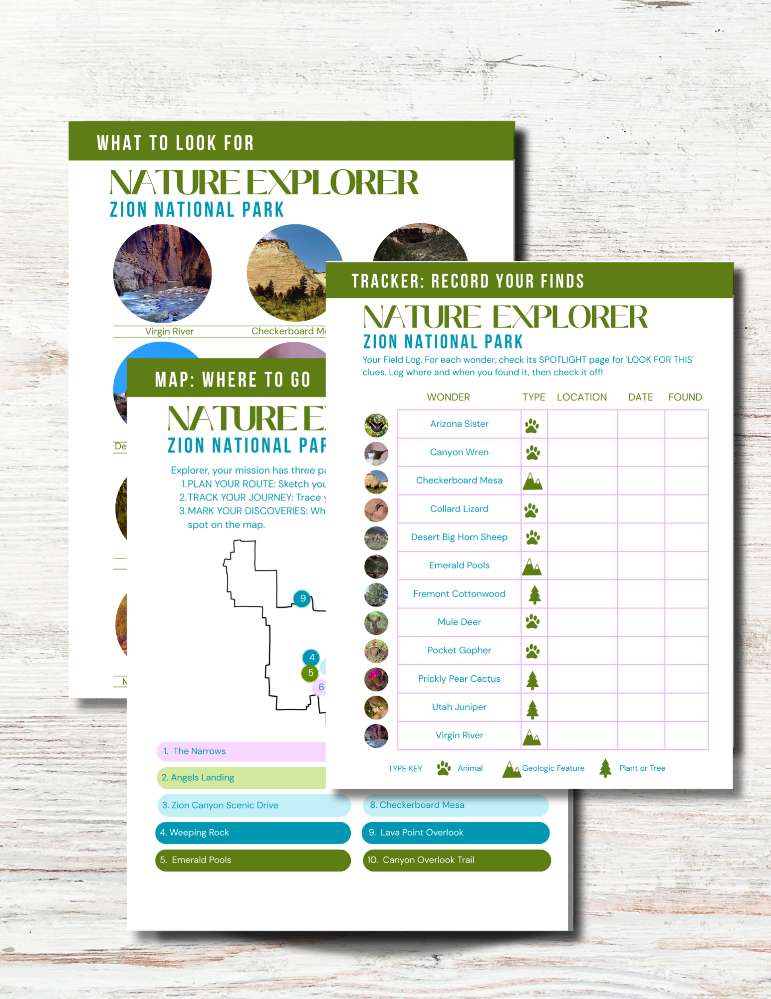 Zion National Park Activity Book for Kids