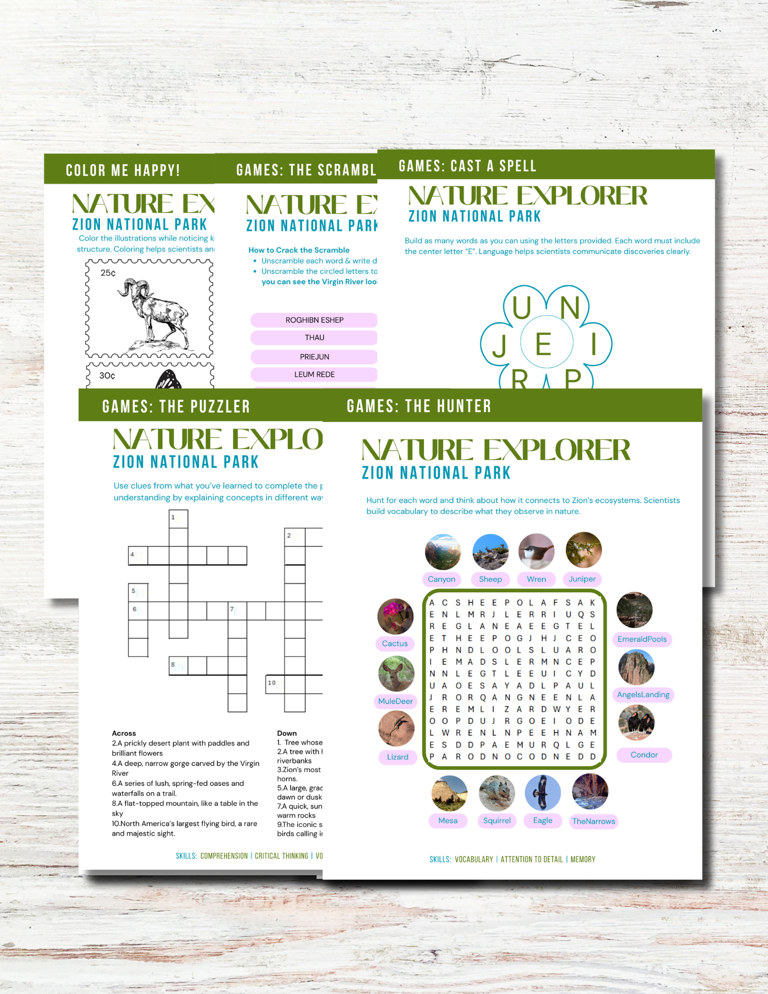 Zion National Park Activity Book for Kids