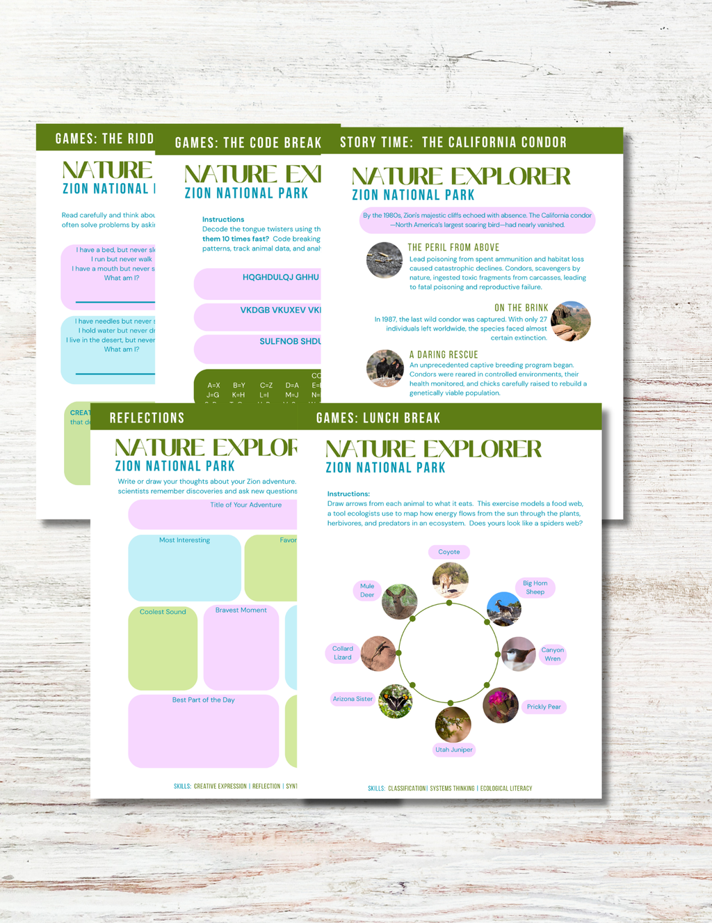 Zion National Park Activity Book for Kids