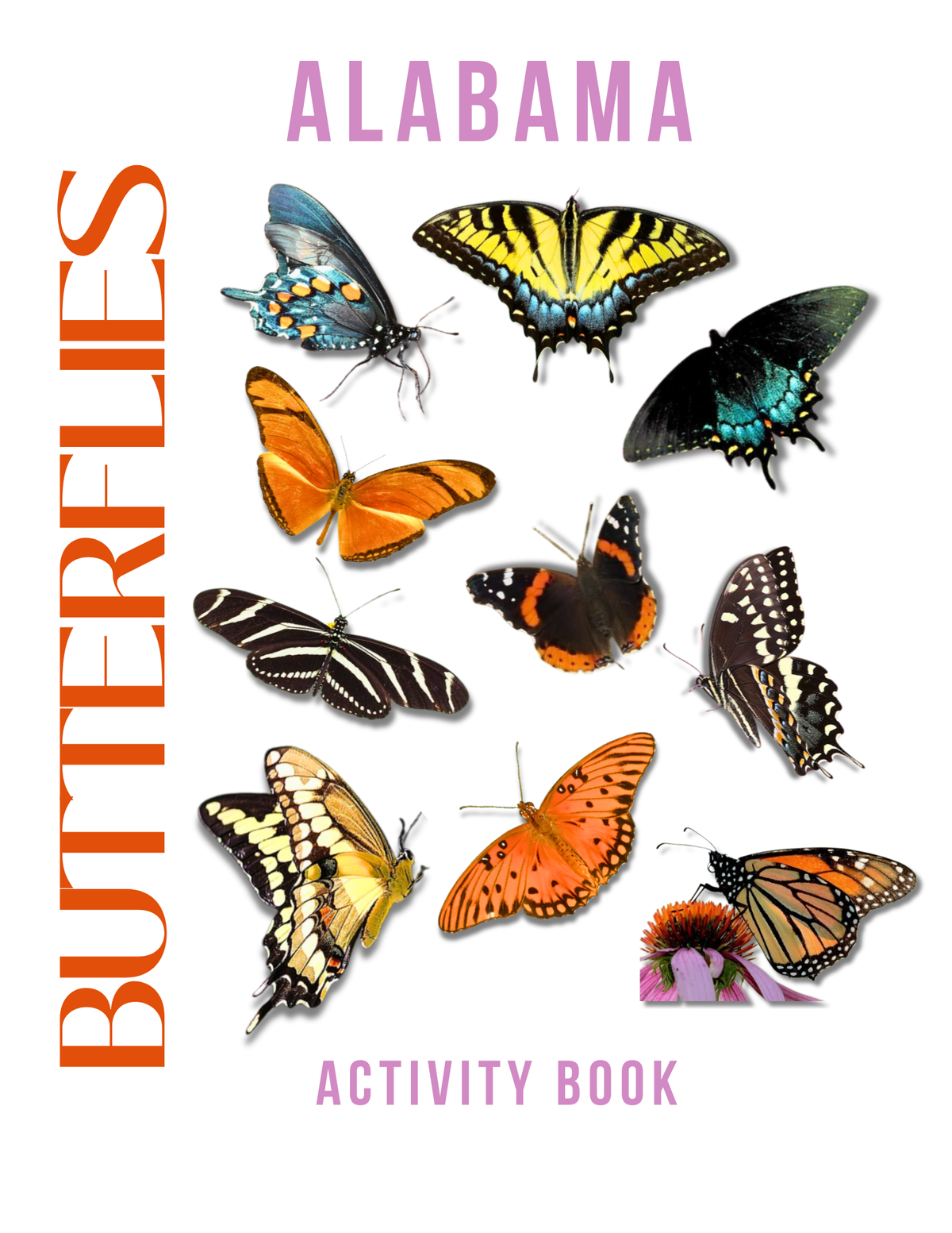Alabama Nature Gift Set for Kids Ages 7-12 – 4 Activity Books + Canvas Tote (Birds, Butterflies, Wildflowers & Leaves)