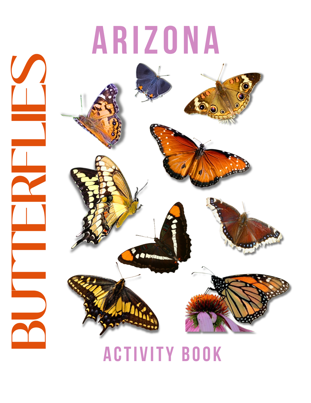 Arizona Nature Gift Set for Kids Ages 7-12 – 4 Activity Books + Canvas Tote (Birds, Butterflies, Wildflowers & Leaves)